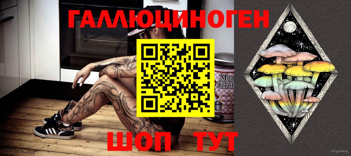 Сафоново  Галлюциногенные грибы Psilocybine cubensis  Вход с VPN 