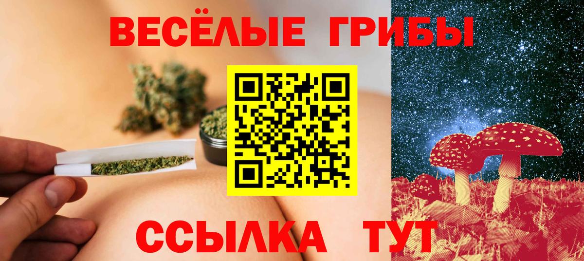 Псилоцибиновые грибы MAGIC MUSHROOMS Сафоново